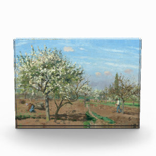 Orchard in Bloom, Louveciennes Camille Pissarro Acrylic Award