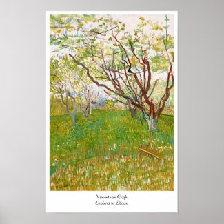 Orchard in Bloom Vincent van Gogh  fine art Poster