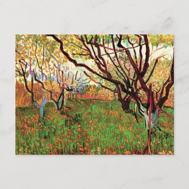 Orchard in Blossom, Vincent van Gogh Postcard (Front)