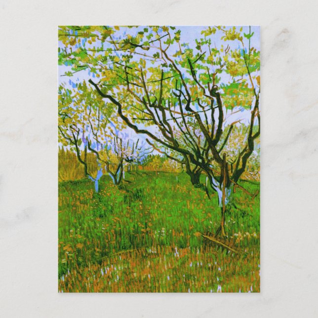 Orchard in Blossom, Vincent van Gogh Postcard (Front)