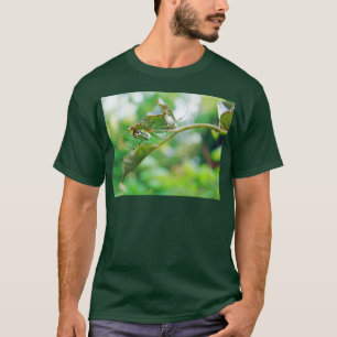 Orchard Orbweaver Spider - Leucauge venusta T-Shirt