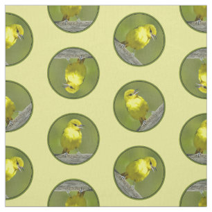 Orchard Oriole Female in Spring Original Photo Fabric