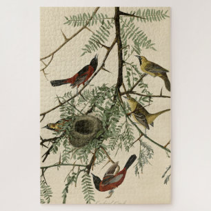 Orchard Oriole from Audubon's Birds of America Jigsaw Puzzle