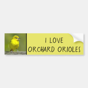 Orchard Oriole - Original Photograph Bumper Sticker