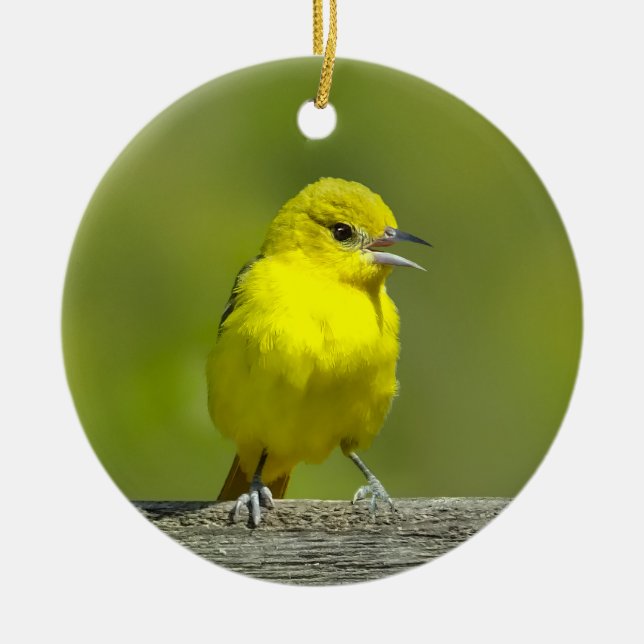 Orchard Oriole - Original Photograph Ceramic Ornament (Front)
