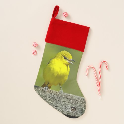 Orchard Oriole _ Original Photograph Christmas Stocking