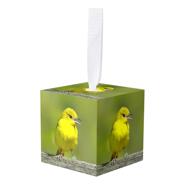 Orchard Oriole - Original Photograph Cube Ornament (Front Angled)