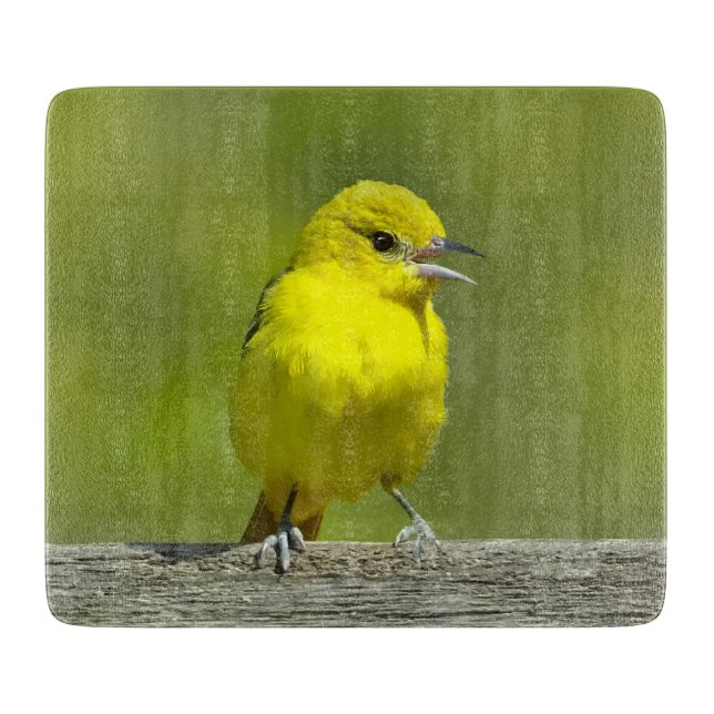 Orchard Oriole - Original Photograph Cutting Board (Front)