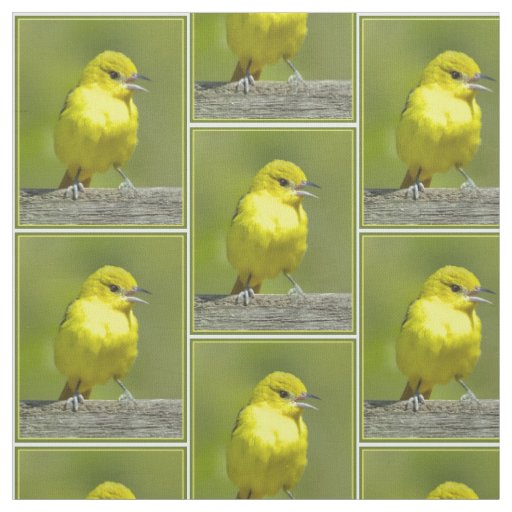 Orchard Oriole - Original Photograph Fabric