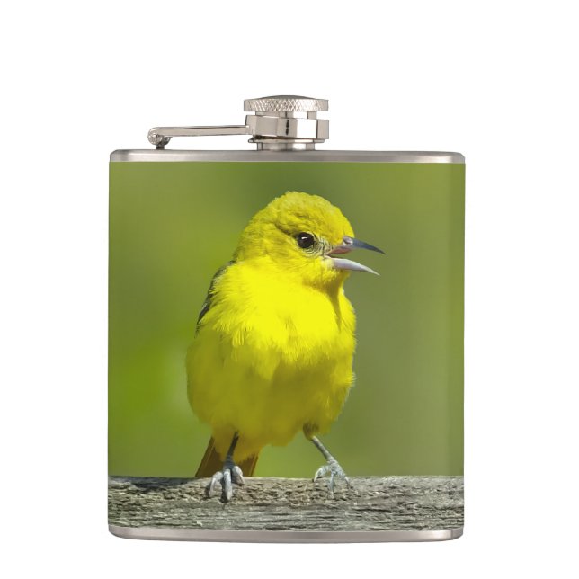 Orchard Oriole - Original Photograph Flask (Front)