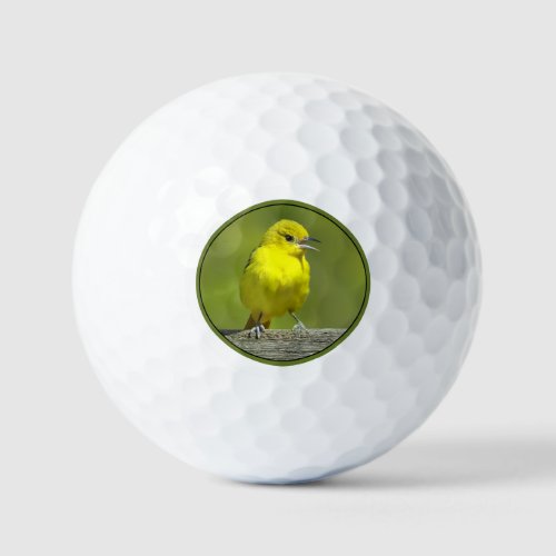 Orchard Oriole _ Original Photograph Golf Balls
