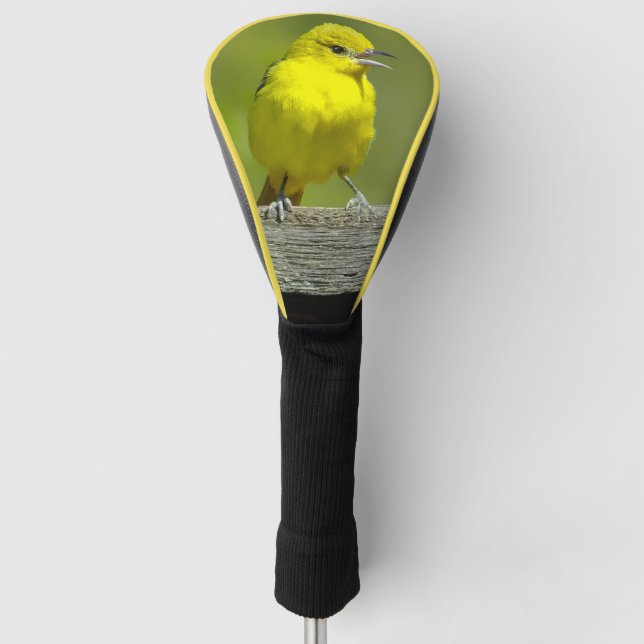 Orchard Oriole - Original Photograph Golf Head Cover (Front)