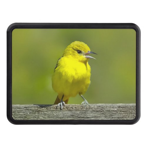 Orchard Oriole _ Original Photograph Hitch Cover