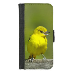 Orchard Oriole - Original Photograph iPhone 8/7 Wallet Case