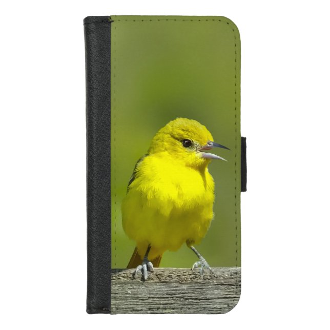 Orchard Oriole - Original Photograph iPhone Wallet Case (Front)