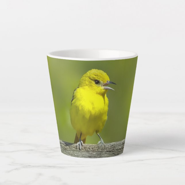 Orchard Oriole - Original Photograph Latte Mug (Front)