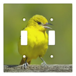 Orchard Oriole - Original Photograph Light Switch Cover