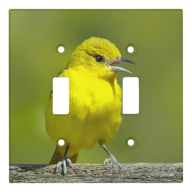 Orchard Oriole - Original Photograph Light Switch Cover (Front)