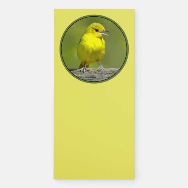 Orchard Oriole - Original Photograph Magnetic Notepad (Front)