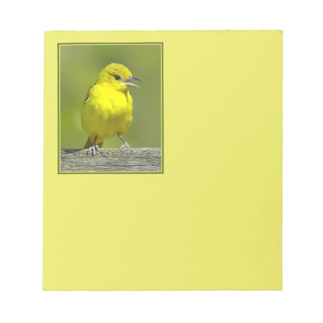 Orchard Oriole - Original Photograph Notepad (Front)