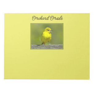 Orchard Oriole - Original Photograph Notepad