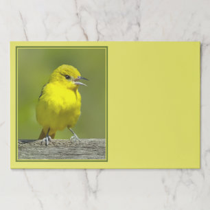 Orchard Oriole - Original Photograph Paper Pad