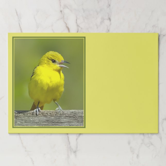 Orchard Oriole - Original Photograph Paper Pad (Front)