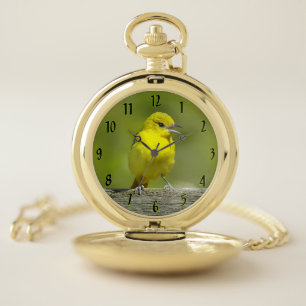 Orchard Oriole - Original Photograph Pocket Watch