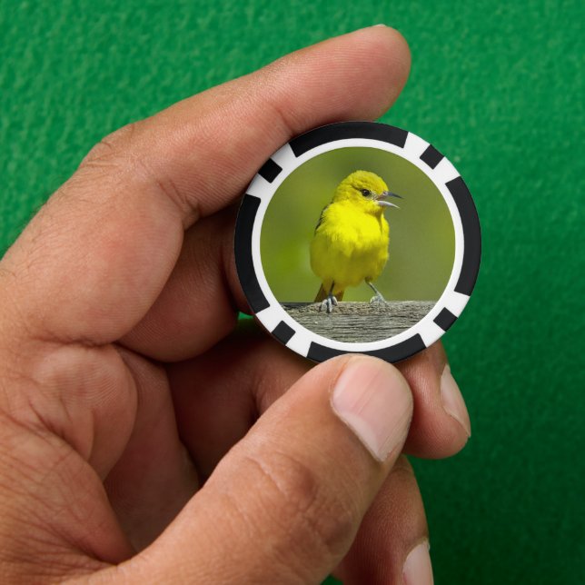 Orchard Oriole - Original Photograph Poker Chips (Hand)