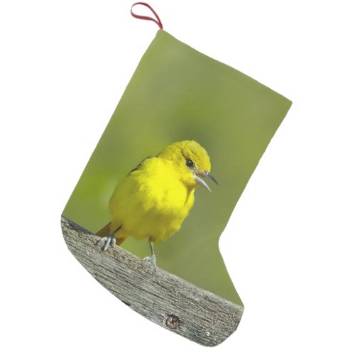 Orchard Oriole _ Original Photograph Small Christmas Stocking