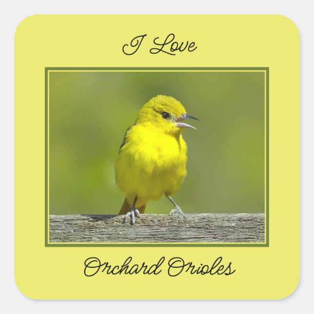 Orchard Oriole - Original Photograph Square Sticker (Front)