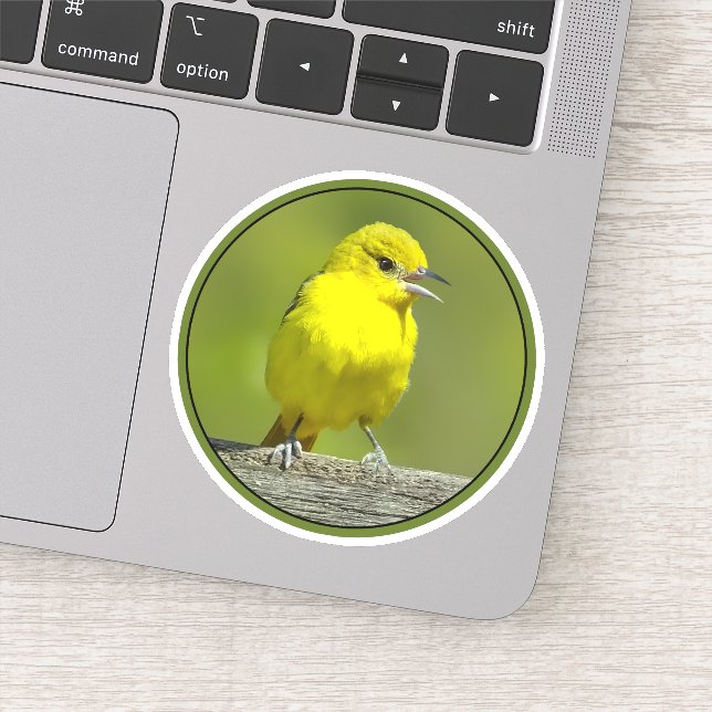 Orchard Oriole - Original Photograph Sticker (Detail)