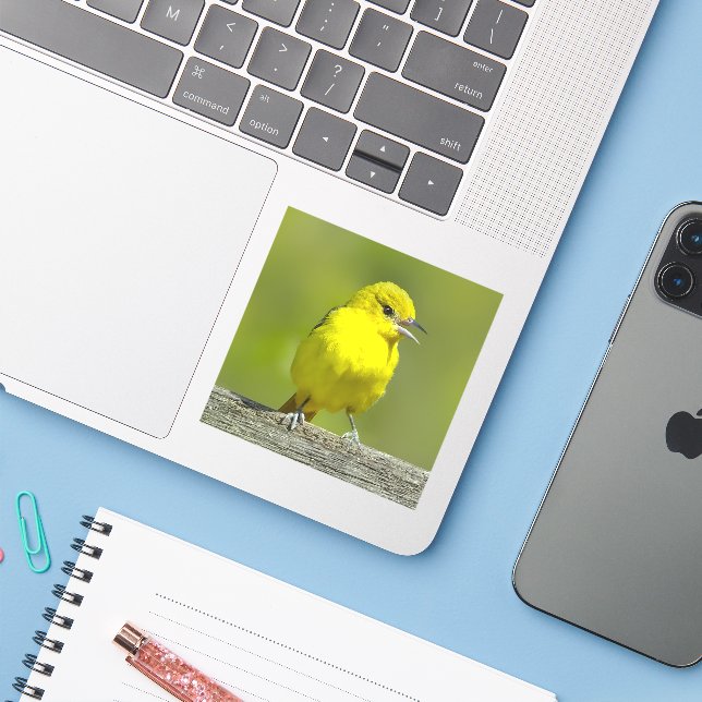 Orchard Oriole - Original Photograph Sticker (Laptop w/ iPhone)