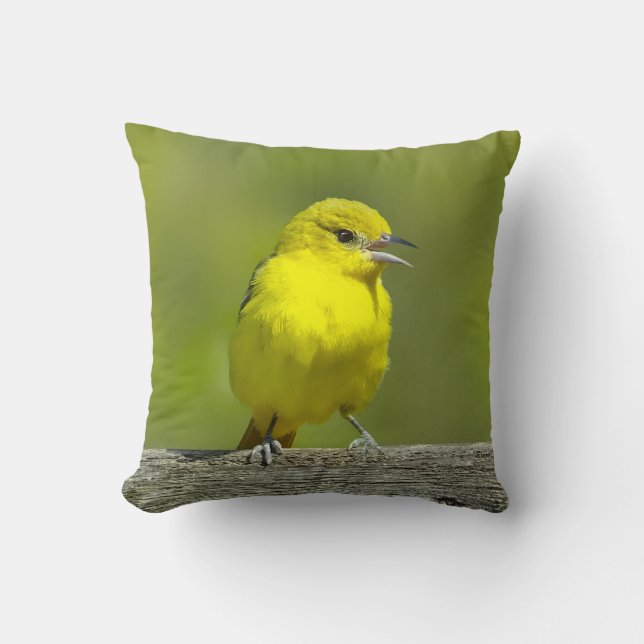 Orchard Oriole - Original Photograph Throw Pillow (Front)
