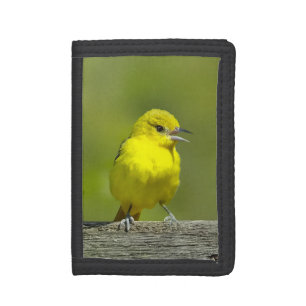 Orchard Oriole - Original Photograph Trifold Wallet