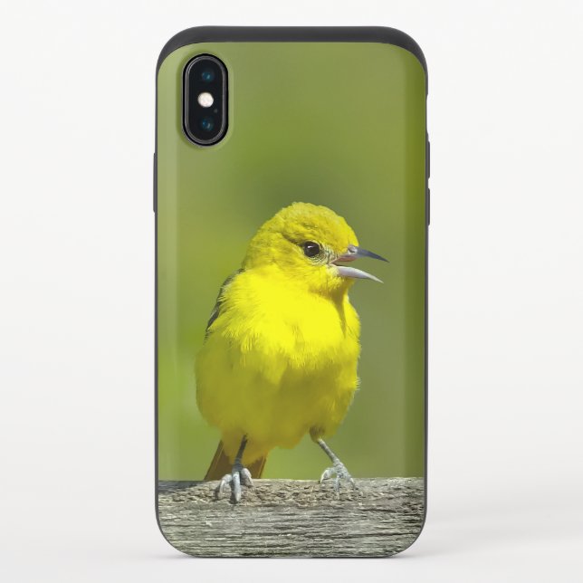 Orchard Oriole - Original Photograph Uncommon iPhone Case (Back)
