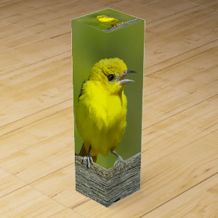 Orchard Oriole - Original Photograph Wine Box