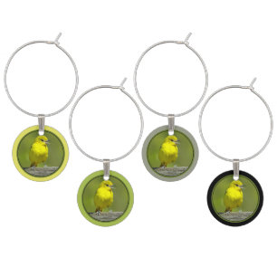 Orchard Oriole - Original Photograph Wine Charm