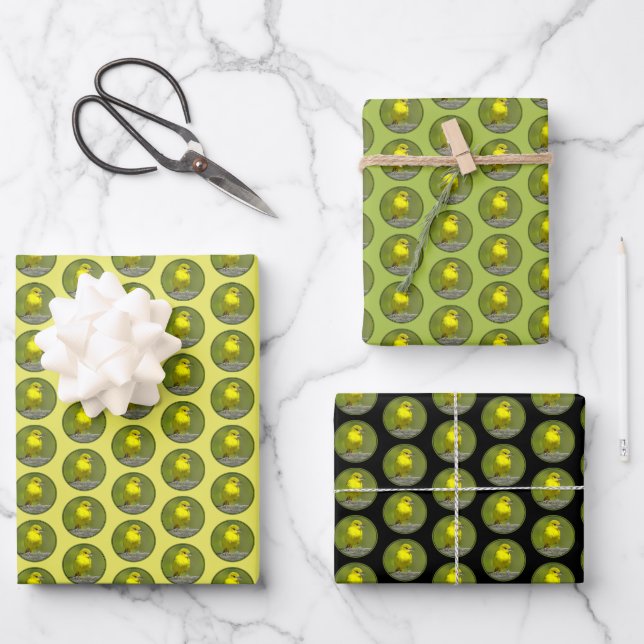 Orchard Oriole - Original Photograph Wrapping Paper Sheets (Front)