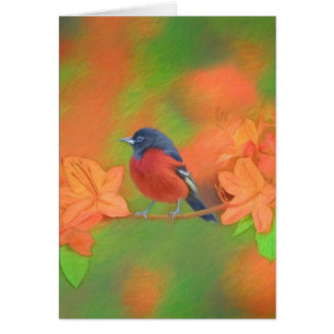 Orchard Oriole Songbird Painting Original Bird Art Cards