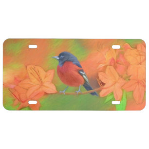Orchard Oriole Songbird Painting Original Bird Art License Plate