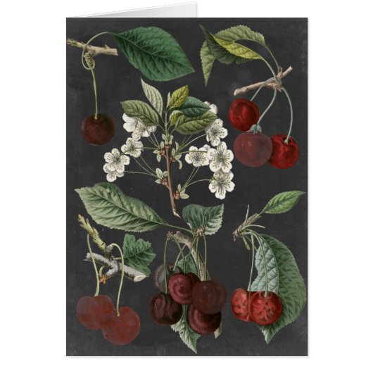 Orchard Varieties I Cards (Front)