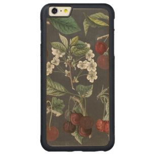 Orchard Varieties I Carved Maple iPhone 6 Plus Bumper Case