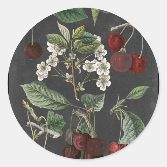 Orchard Varieties I Classic Round Sticker (Front)