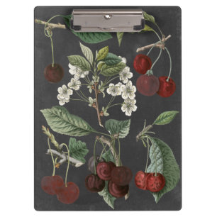 Orchard Varieties I Clipboard