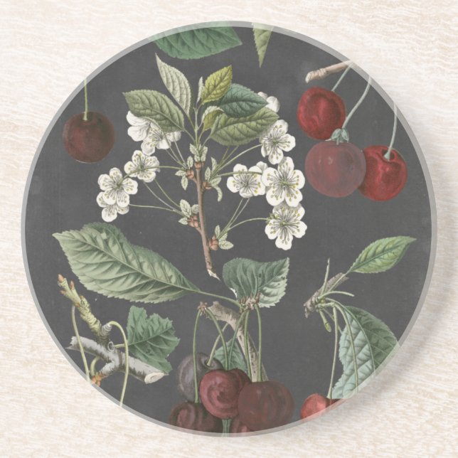 Orchard Varieties I Drink Coaster (Front)