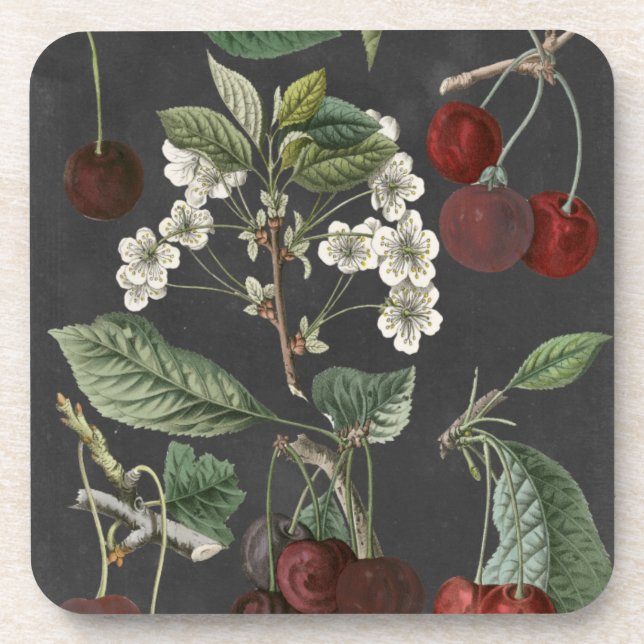 Orchard Varieties I Drink Coaster (Front)