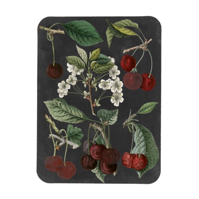 Orchard Varieties I Magnet (Vertical)