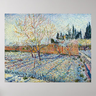 Orchard with cypress by Vincent van Gogh Poster