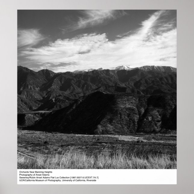 Orchards Near Banning Heights by Ansel Adams Poster (Front)